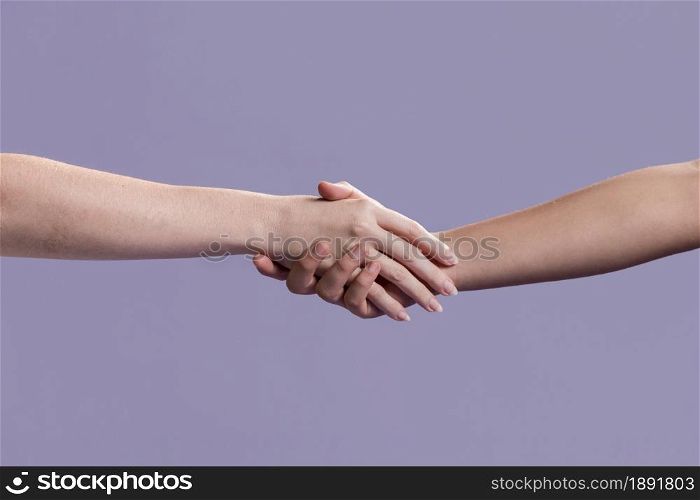 women handshake as sign peace. Resolution and high quality beautiful photo. women handshake as sign peace. High quality and resolution beautiful photo concept