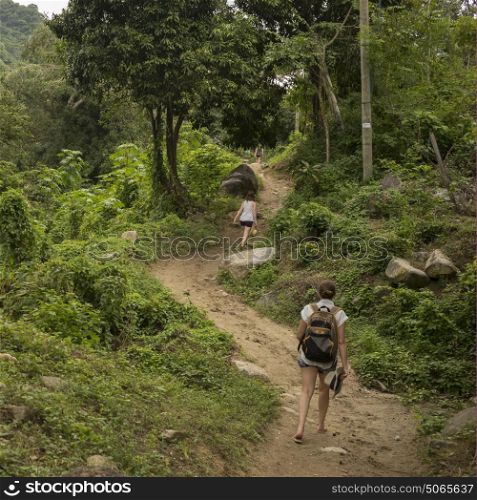 Women hiking on trail in forest, Yelapa, Jalisco, Mexico