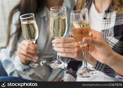 women holding champagne glasses toast