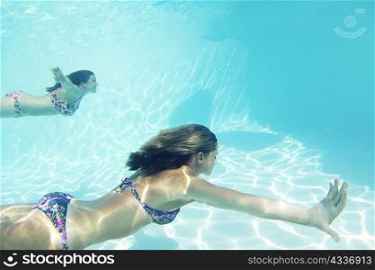 Women in bikinis swimming in pool