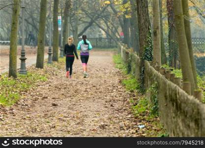 Women jogging in park in autumn. Health and fitness