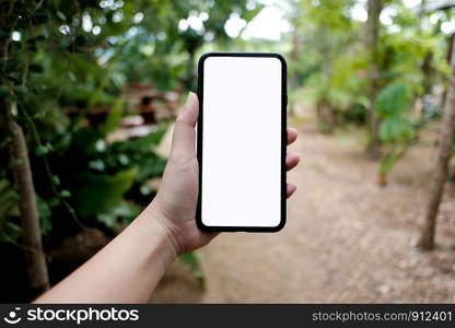 Women's hands holding cell telephone watching social media in a smart phone. social network concept with smart phone.