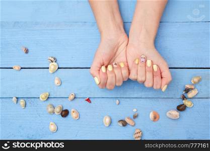 women's hands with a beautiful manicure with a summer pattern and shells on a blue background. the view from the top