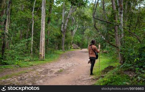 Women trekking in forest tree at Phu kradueng mountain in Loei thailand