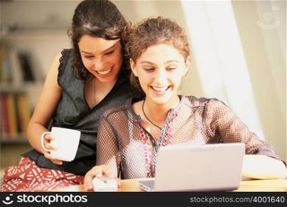 Women using a laptop computer