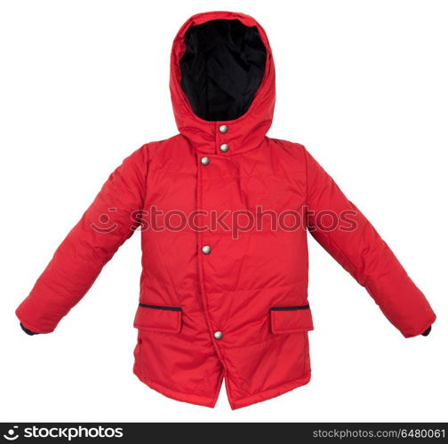 Women winter jacket. Childrens Women winter jacket isolated on white background.