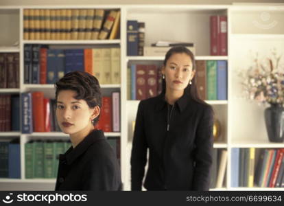 Women Working in an Office