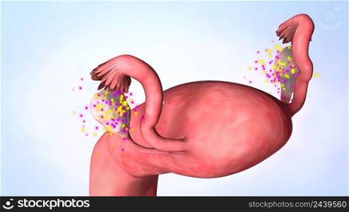 Womens estrogen hormone secretion 3D illustration .. Womens estrogen hormone secretion 3D illustration
