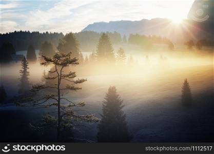 Wonderful Alpine landscape of autumn foggy morning. Seiser Alm, Alpe di Siusi with Langkofel mountain at sunrise, Alto Adige, South Tyrol, Italy, Europe.