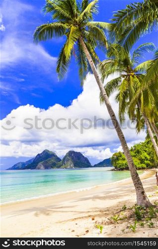 Wonderful idyllic nature scenery - tropical beach with cocnut palm trees. El Nido. Palawan island , Philippines. Tropical beaches and splendid islands of El Nido. Philippines