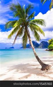 Wonderful idyllic nature scenery - tropical beach with cocnut palm trees. El Nido. Palawan island , Philippines. Tropical nature and splendid islands of El Nido. Philippines