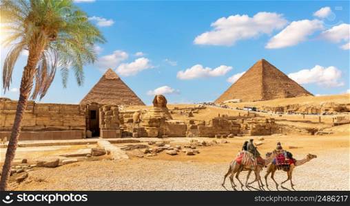 Wonderful Palm tree by The Great Sphinx and the Egypt Pyramid, Giza, Africa.. Wonderful Palm tree by The Great Sphinx and the Egypt Pyramid, Giza, Africa