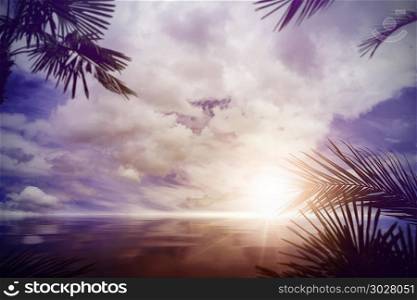 wonderful sunset scene with palm and palm leaves over a calm ocean in a tropical region. tropical ocean sunset