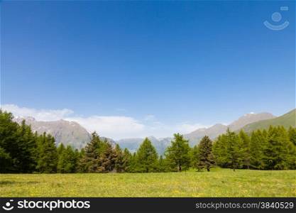 Wonderful view on Italian Alps with a forest background during a summer day. Piedmont region - North Italy.