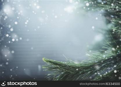 Wonderful winter background with fir branches and snow. Winter holidays and Christmas concept