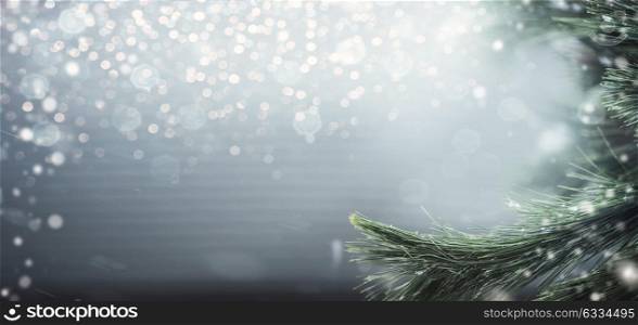 Wonderful winter background with fir branches, snow and bokeh lighting. Winter holidays and Christmas concept