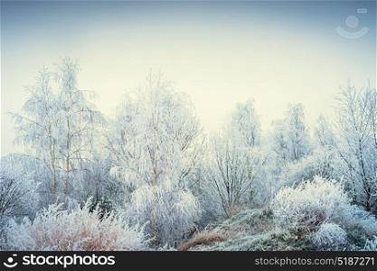 Wonderful winter landscape with snowy trees and grasses at sky background