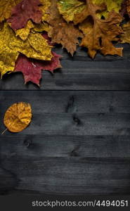 Wood autumn background. Wood autumn background with free space for design