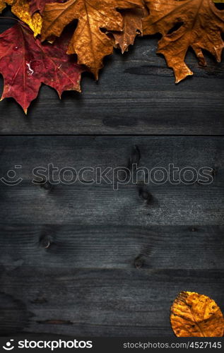 Wood autumn background. Wood autumn background with free space for design