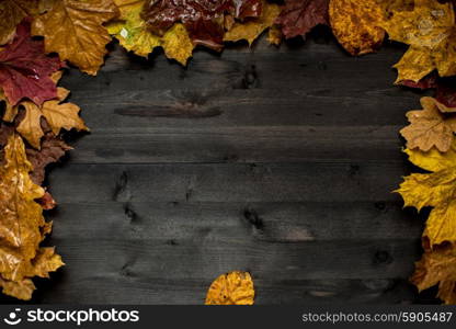 Wood autumn background. Wood autumn background with free space for design