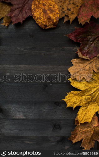 Wood autumn background. Wood autumn background with free space for design