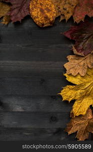 Wood autumn background. Wood autumn background with free space for design