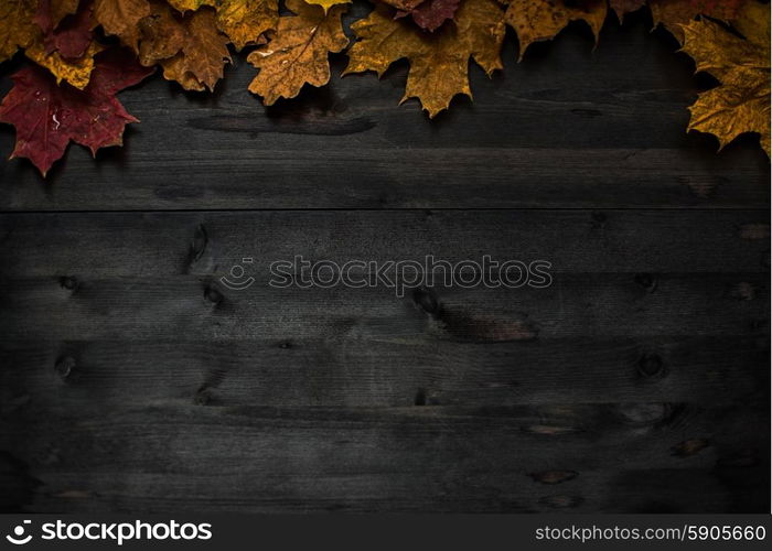 Wood autumn background. Wood autumn background with free space for design