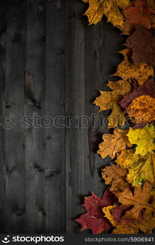 Wood autumn background. Wood autumn background with free space for design