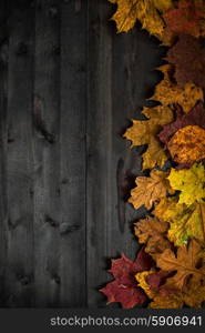 Wood autumn background. Wood autumn background with free space for design