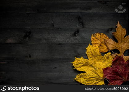 Wood autumn background. Wood autumn background with free space for design