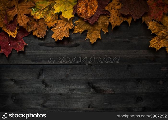 Wood autumn background. Wood autumn background with free space for design