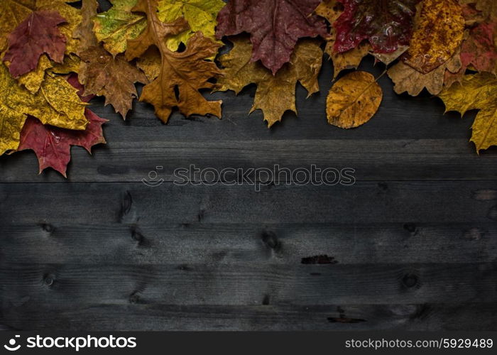 Wood autumn background. Wood autumn background with free space for design