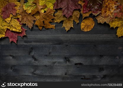 Wood autumn background. Wood autumn background with free space for design