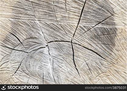 wood background and with streaks