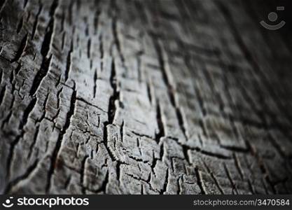 wood background macro close up