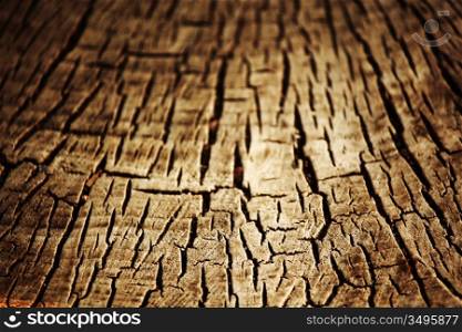 wood background macro close up