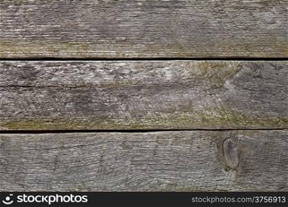Wood background. Old planks texture. Top view