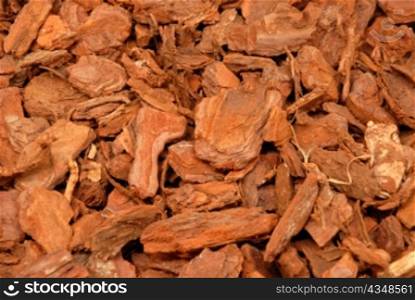 Wood Bark Chippings as a garden mulch covering to prevent weeds and conserve moisture.