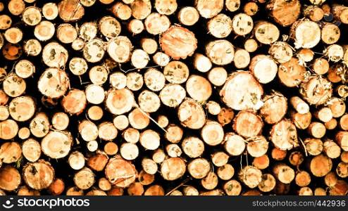 Wood beams as nature background. Nature and environment conservation concept. Copy space.. Wood beams as nature background.