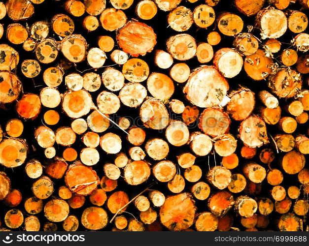 Wood beams as nature background. Nature and environment conservation concept. Copy space.. Wood beams as nature background.