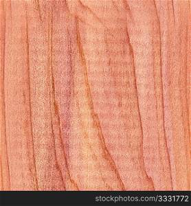 Wood Cedar 03