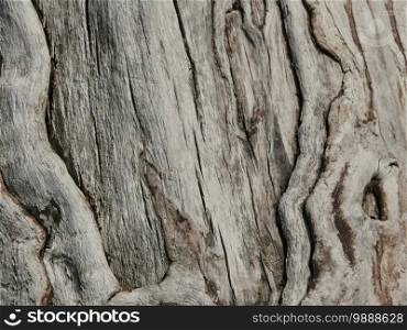wood dry cracked surface, abstract background.