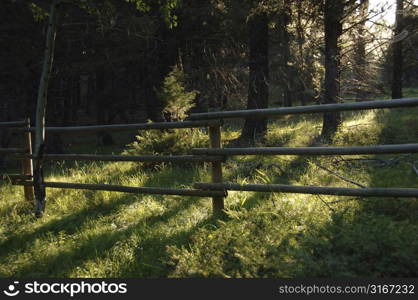 Wood fence