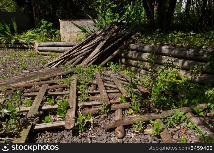 wood fence fallen in a garden with little herbs growing