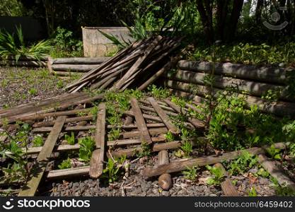 wood fence fallen in a garden with little herbs growing