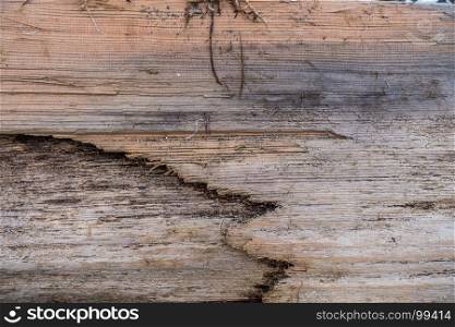 Wood grain closeup.