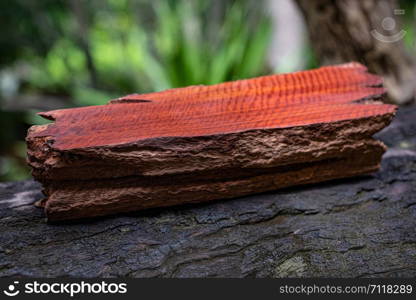 Wood has tiger stripe or curly stripe grain, Afzelia wood exotic beautiful pattern for crafts or abstract art Background