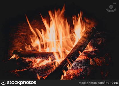 Wood is burning in fire. Fire for bushcraft and tourism at night gives warmth and light.