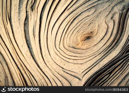 Wood larch texture of cut tree trunk, close-up. Wooden pattern.. Wood larch texture of cut tree trunk, close-up. Wooden pattern