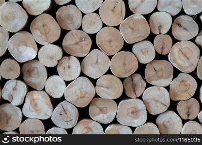 Wood log background pattern